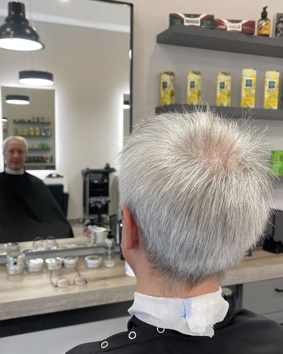 Graumeliertes Haar, kurz geschnitten, Blick von hinten